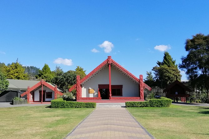 4-Day Wellington to Auckland via Rotorua Tour - Reviews