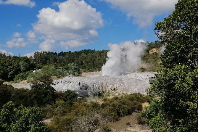 4-Day Wellington to Auckland via Rotorua Tour - The Sum Up