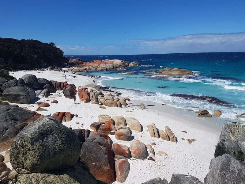 4 Day Wild Tasmania Adventure Tour - Russell Falls and the cool temperate rainforest