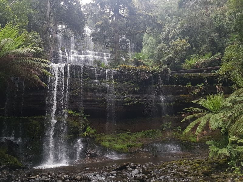 4 Day Wild Tasmania Adventure Tour - The west coast and the value of going beyond the main stops