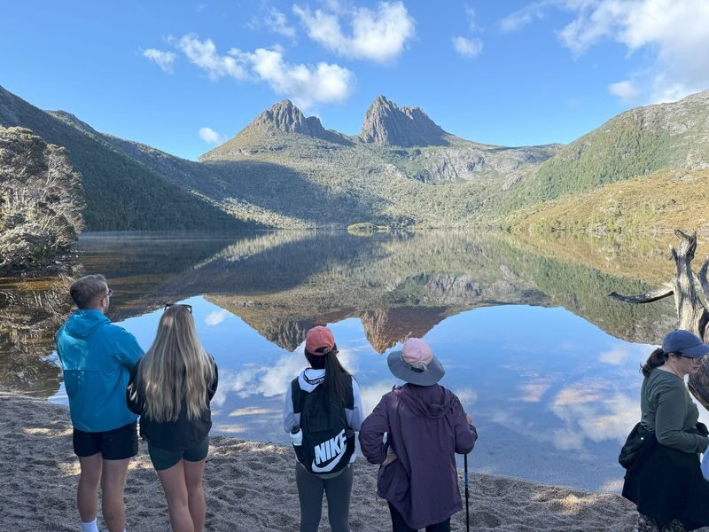 4 Day Wild Tasmania Adventure Tour - Wildlife, from wombats to the chance of a quoll
