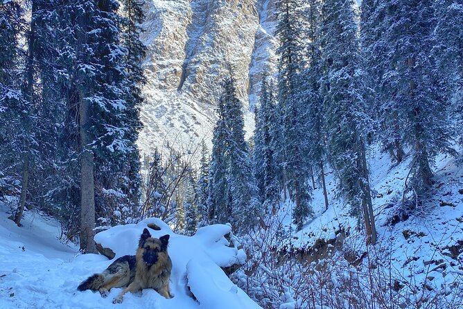 4 Day Winter Adventure Around Issyk Kul Lake - Day 3: Karakol Winter Activities