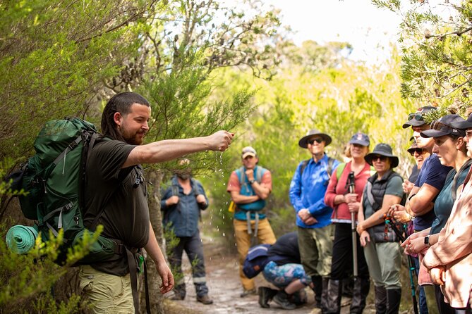 4-Day Wukalina Walk Hiking and Cultural Experience in Tasmania - Activity Details