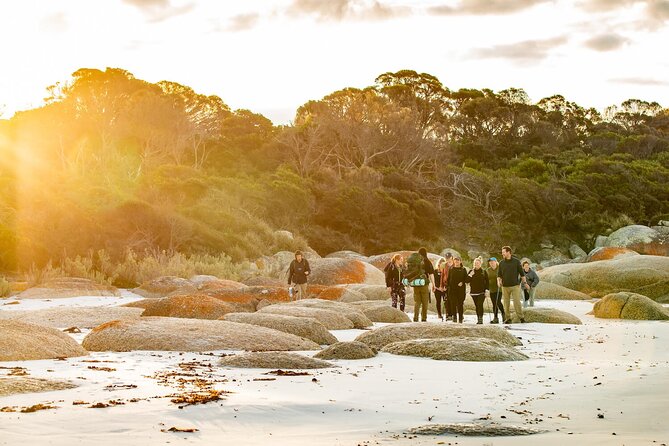 4-Day Wukalina Walk Hiking and Cultural Experience in Tasmania - Pickup Points and Schedule