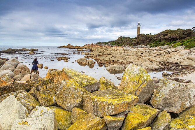 4-Day Wukalina Walk Hiking and Cultural Experience in Tasmania - Itinerary and Accommodation