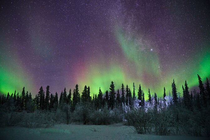 4-Day Yellowknife Aurora Tour - Meeting and Pickup