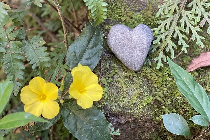 4 Day Yoga Hiking and Sound Healing Retreat in Nepal - Exploring the 4-Day Yoga Hiking and Sound Healing Retreat in Nepal