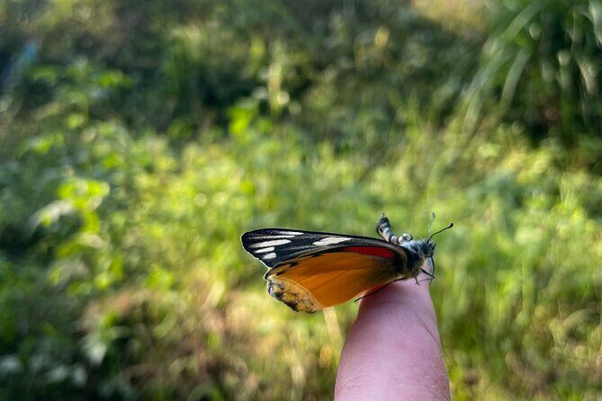 4 Day Yoga Hiking and Sound Healing Retreat in Nepal - FAQ