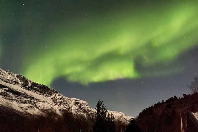 4 Days, 3 Countries Tour: Northern Lights and Moose - Tour Overview