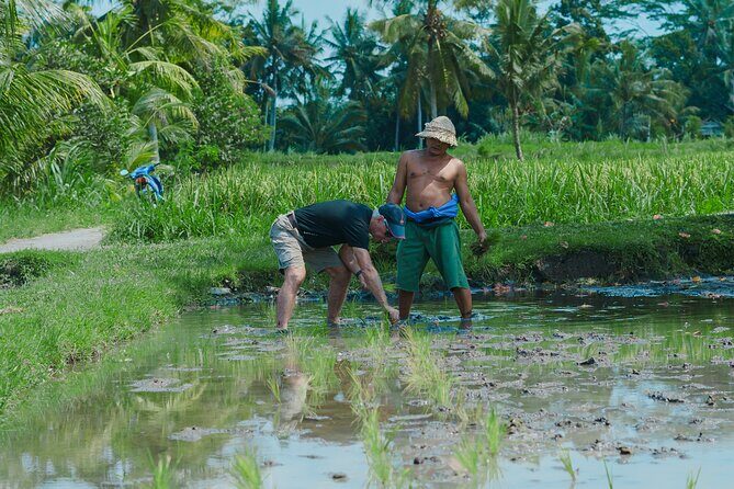 4 Days 3 Nights Explore Bali with Package Tours - Good To Know