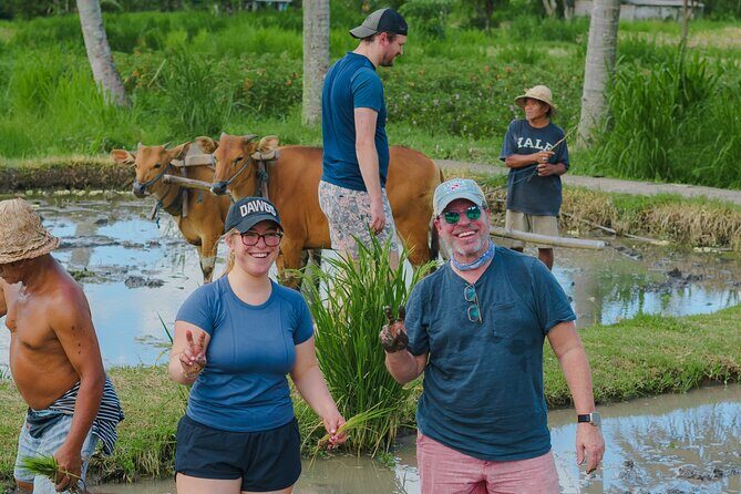 4 Days 3 Nights Explore Bali with Package Tours - Transportation and Logistics