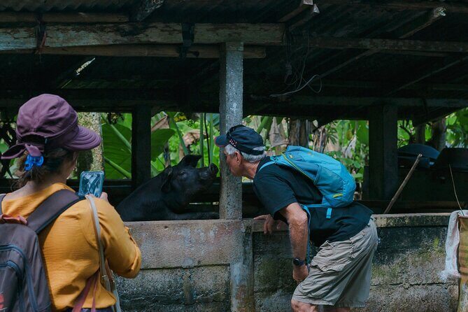 4 Days 3 Nights Explore Bali with Package Tours - Authentic Insights from Reviews