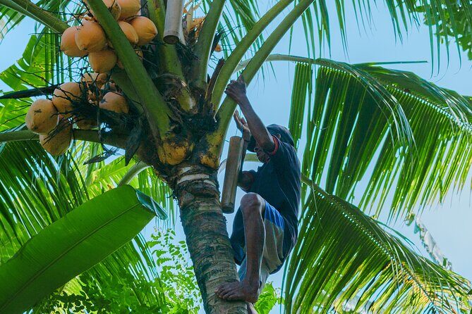 4 Days 3 Nights Explore Bali with Package Tours - Pricing & Value Analysis