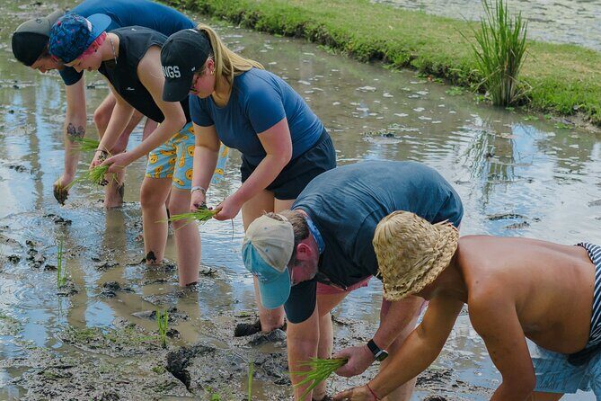 4 Days 3 Nights Explore Bali with Package Tours - Who Would Benefit Most?