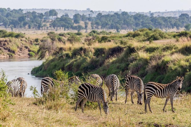 4 Days / 3 Nights Join Group Safari - Good To Know