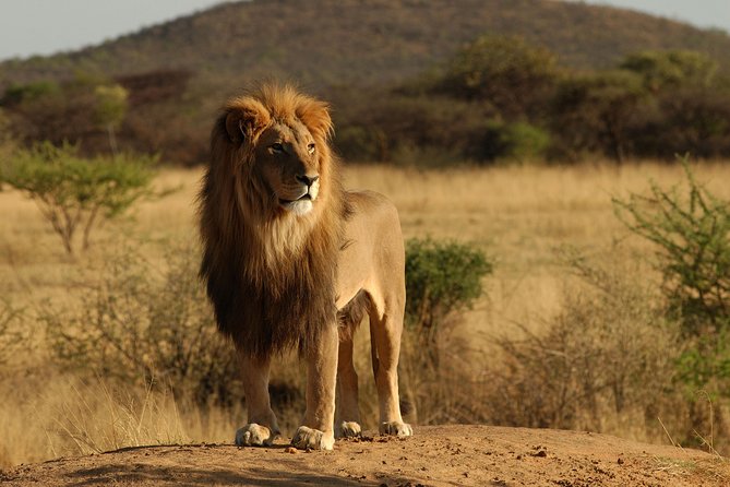4 Days / 3 Nights Join Group Safari - Meeting and Pickup Details