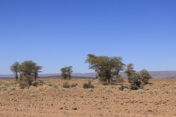 4 Days/3 Nights Luxury Tour From Marrakech To Erg Chigaga - Whats Included