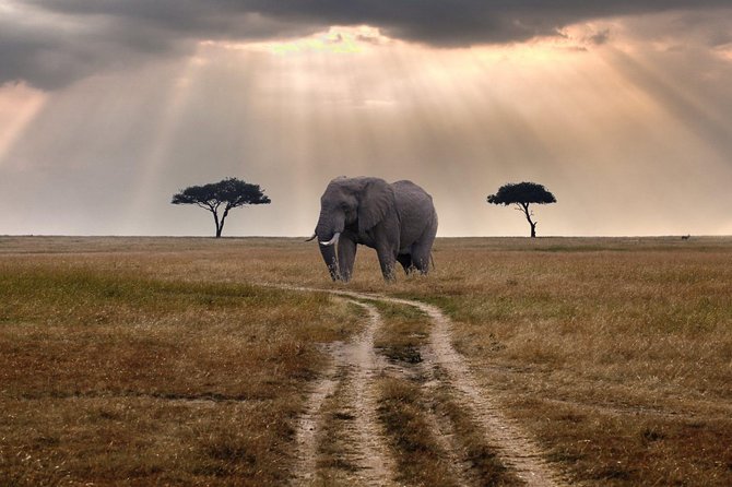 4 Days 3 Nights Masai Mara & Lake Naivasha - Logistics and Transportation