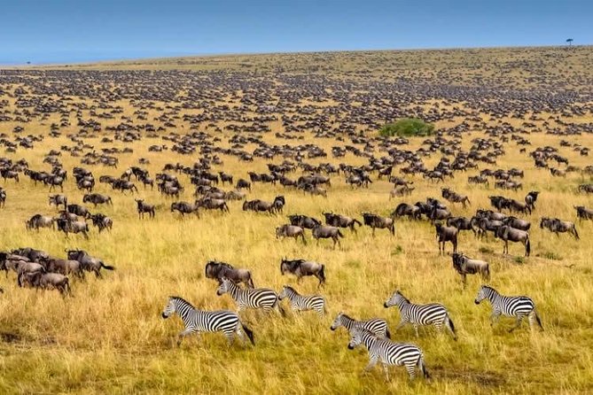 4 Days 3 Nights Masai Mara & Lake Naivasha - Health and Accessibility Details