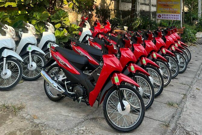 4 Days 3 Nights Motorcycle Tour in Ha Giang Loop All Inclusive - The Overview and Value of the Tour