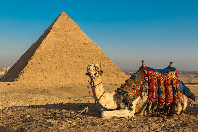 4 Days 3 Nights Private Family Tour for the Best of Cairo - Safety and Health Considerations