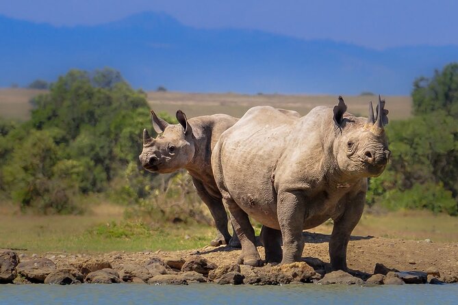 4 Days 3 Nights Private Safari to Samburu & Olpejeta From Nairobi - Pickup and Drop-off Details