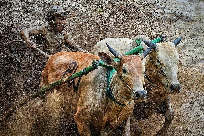 4 Days 3 Nights Private Tour in West Sumatra - Deep Dive into the West Sumatra Adventure