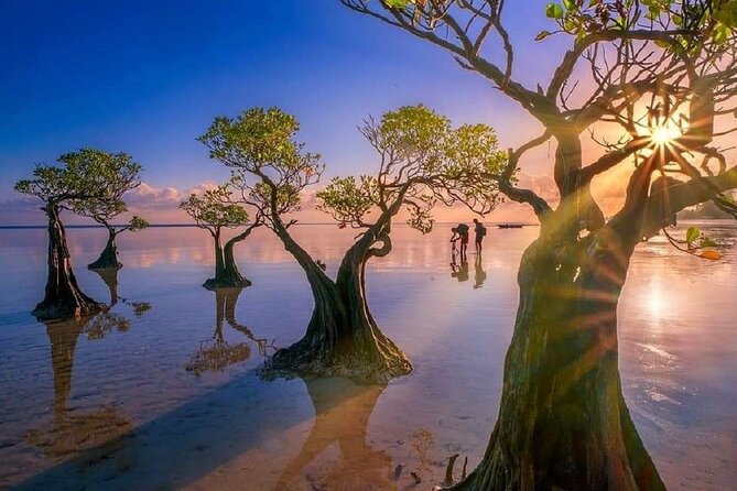 4 Days 3 Nights Tour to Explore Best of West Sumba and East Sumba - Accommodation Details