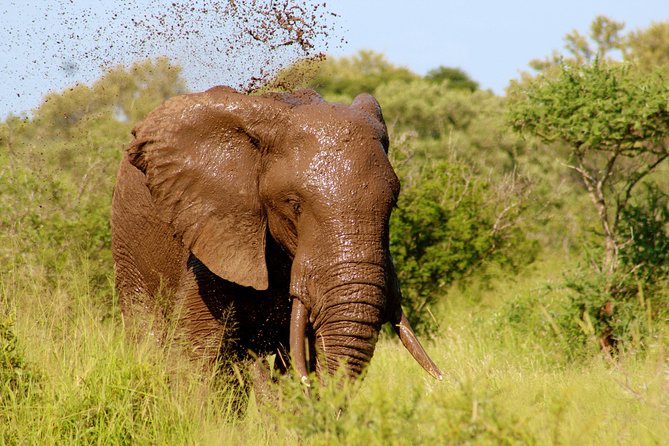 4 Days 3 Nights Tsavo East And West Safari ( Minimum 2 Persons) - Meals Included