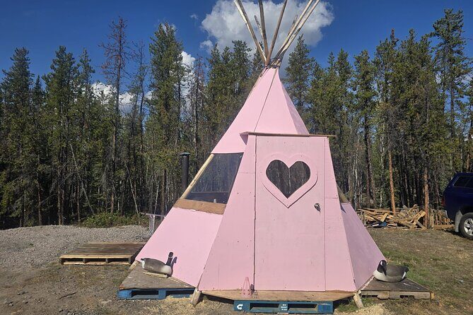 4 Days 3 Nights Yellowknife Aurora Hunting and Viewing Experience - Transportation and Comfort