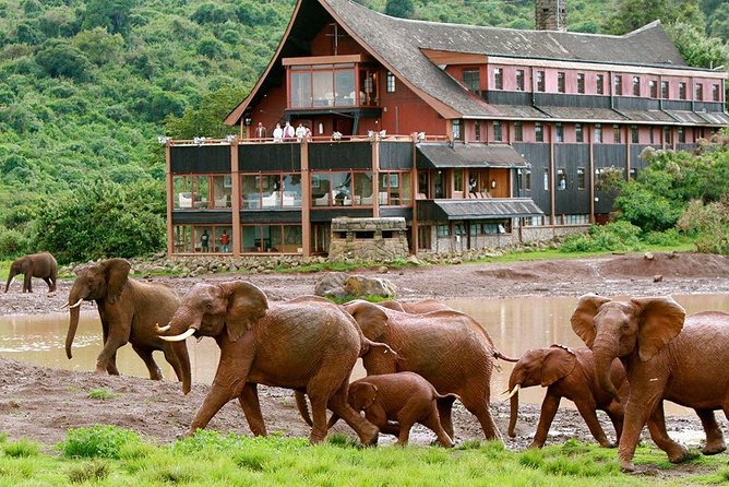 4 Days Aberdares National Park & Samburu National Reserve Wildlife Safari - Booking Information