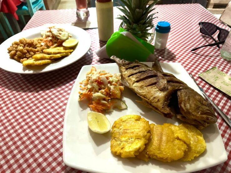 4 Days Adventure; Medellin to Nuqui- Whales!!! - Experience Highlights