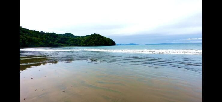 4 Days Adventure; Medellin to Nuqui- Whales!!! - Good To Know
