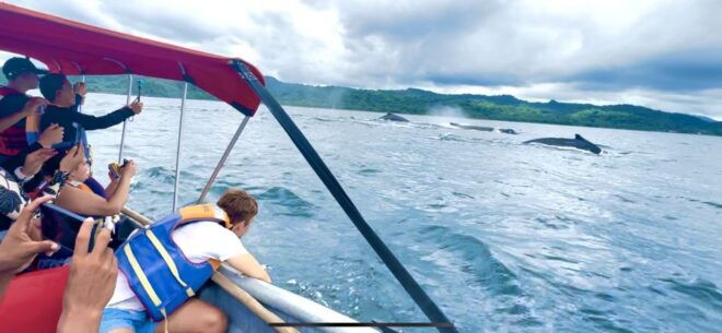 4 Days Adventure; Medellin to Nuqui- Whales!!! - Inclusions