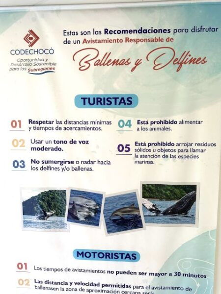 4 Days Adventure; Medellin to Nuqui- Whales!!! - The Sum Up
