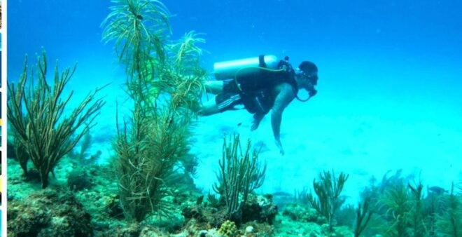 4 Days Adventure; Medellin to San Andres- Intro to Diving - Logistics and Booking