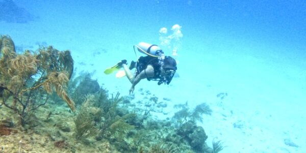 4 Days Adventure; Medellin to San Andres- Intro to Diving - Tailored Adventure Recommendations