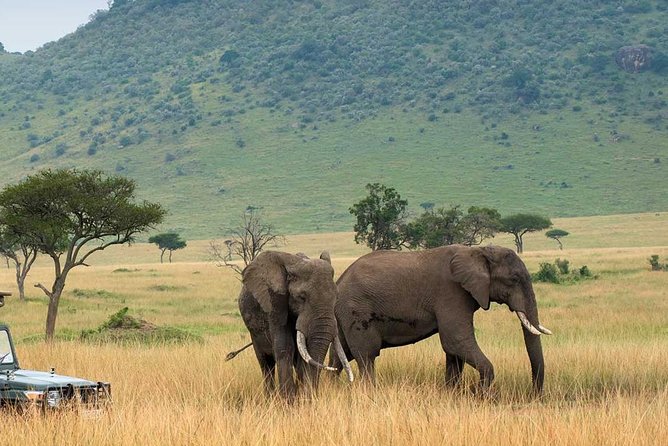 4 Days Affordable Family Safari Holidays - Dining Experiences