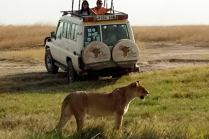 4 Days Affordable Tanzania Budget Safari - Inclusions and Wildlife Experiences