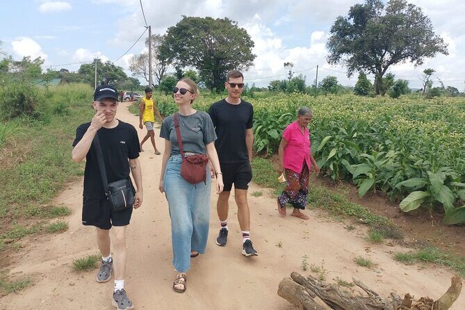 4 Days Amaizing Classic Mini Tour Sri Lanka - Introduction