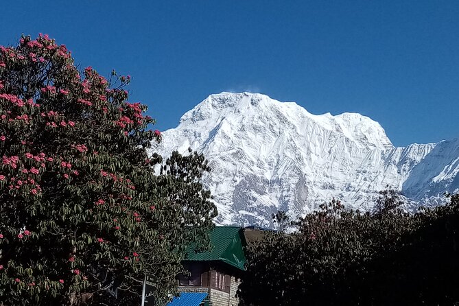 4 Days Amazing Trekking From Pokhara-Ghorepani Poon Hill - Common Questions