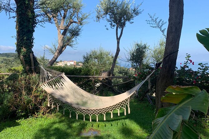 4-Days and 3 Nights Tour With Capri VIP Boat, Cooking Show and Accommodation - The Sum Up