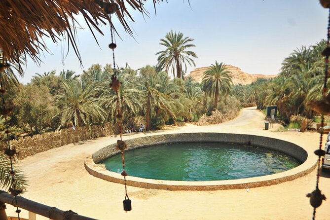 4 Days and 4 Nights Siwa Oasis Egypt Private Tour - What to Expect