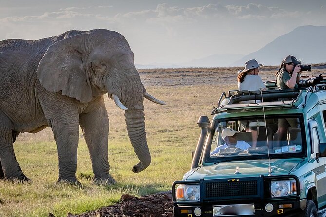 4 Days Awesome Luxury Safari Tarangire Serengeti & Ngorongoro - Wildlife Encounters