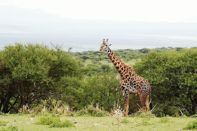 4 Days Awesome Luxury Safari Tarangire Serengeti & Ngorongoro - Frequently Asked Questions