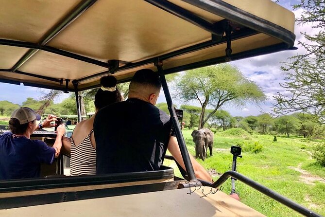 4 Days Awesome Luxury Safari Tarangire Serengeti & Ngorongoro - The Sum Up