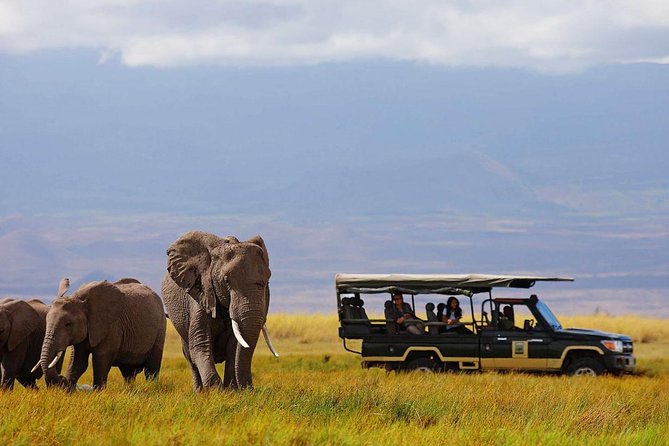 4-Days Best of Masai Mara Wildlife Lodge Safari - Pickup and Drop-off Details