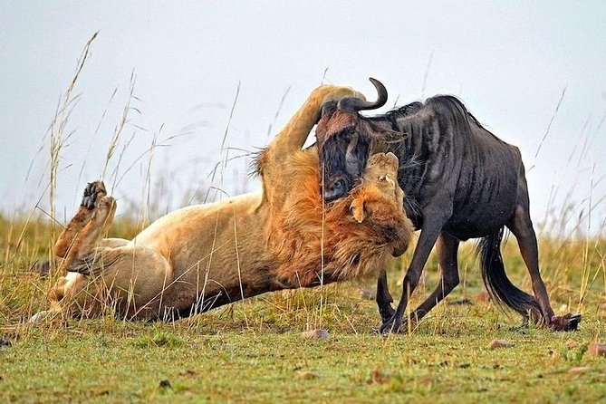 4-Days Best Wildlife Safari: Amboseli, Tsavo West & Tsavo East Private Safari - Alcoholic Drinks and Souvenir Photos