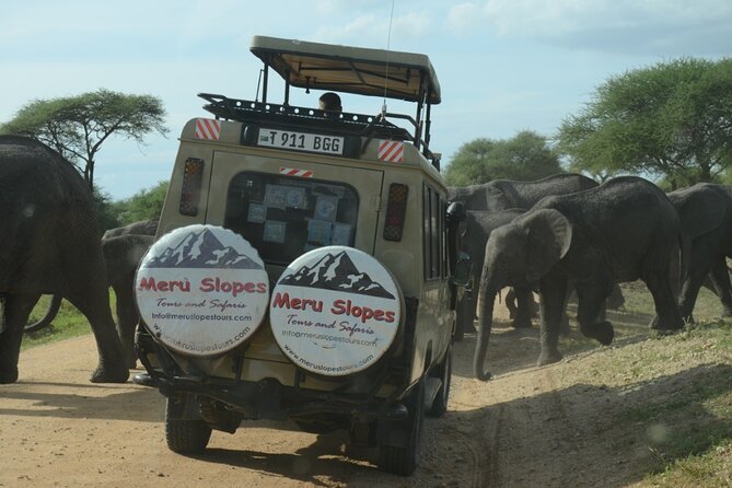 4 Days Big 5 Tour & Cultural Experience - Practical Information