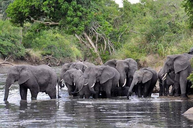 4 Days Budget Lodge Safari Tour Tanzania - Lodge Accommodations